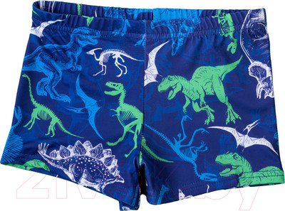 Плавки детские Kaftan Динозавры / 4131147 (р.98-104, синий)