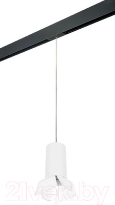 Трековый светильник Lightstar Rullo PRORP6486486