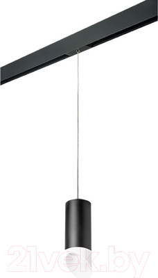 Трековый светильник Lightstar Rullo PRORP648786