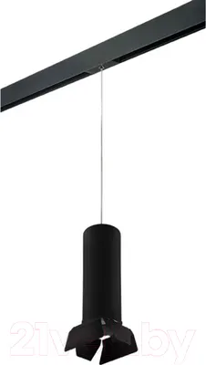 Трековый светильник Lightstar Rullo PRORP6497487