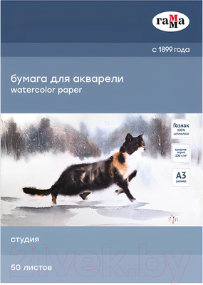 Набор бумаги для рисования ГАММА Студия / 30C03F750W (50л)