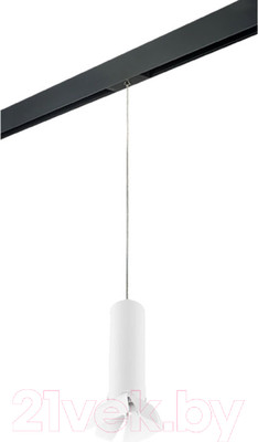 Трековый светильник Lightstar Rullo PRORP496436