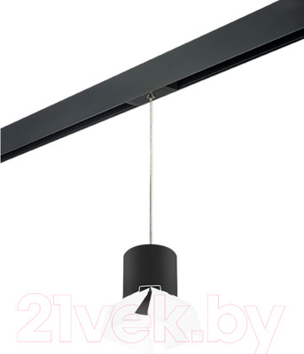 Трековый светильник Lightstar Rullo PRORP3487486 