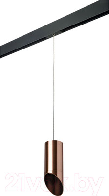 Трековый светильник Lightstar Rullo PRORP43030