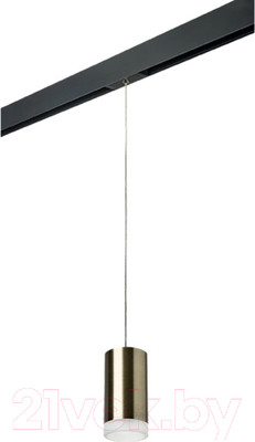 Трековый светильник Lightstar Rullo PRORP43130