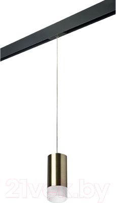 Трековый светильник Lightstar Rullo PRORP43131