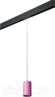 Трековый светильник Lightstar Rullo PRORP432