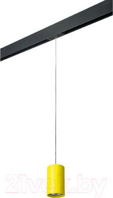 Трековый светильник Lightstar Rullo PRORP433