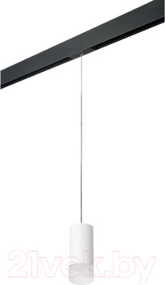 Трековый светильник Lightstar Rullo PRORP43631