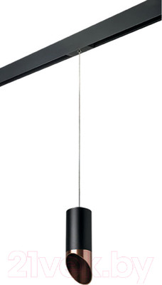 Трековый светильник Lightstar Rullo PRORP437130