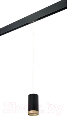 Трековый светильник Lightstar Rullo PRORP43740