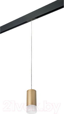 Трековый светильник Lightstar Rullo PRORP440131