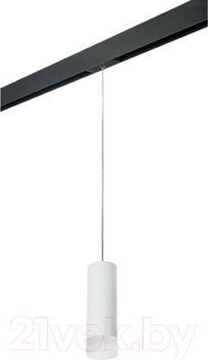 Трековый светильник Lightstar Rullo PRORP48631