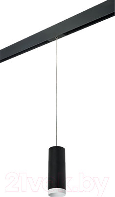 Трековый светильник Lightstar Rullo PRORP4873436