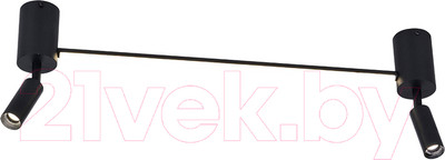 Спот Arte Lamp Rasalas A2219PL-2BK