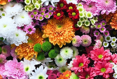 Фотообои листовые ФабрикаФресок Цветочная Оранжерея / 1014270 (400x270)