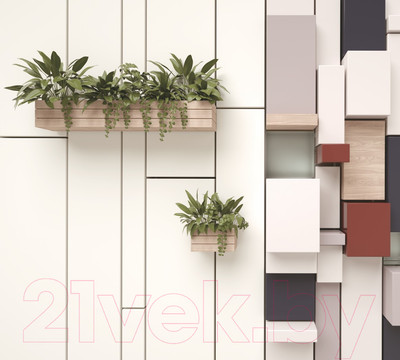 Фотообои листовые ФабрикаФресок Абстракция. Полки с Растениями / 1153270 (300x270)