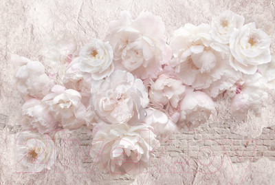 Фотообои листовые ФабрикаФресок Нежные Пионы 3D / 1194270 (400x270)