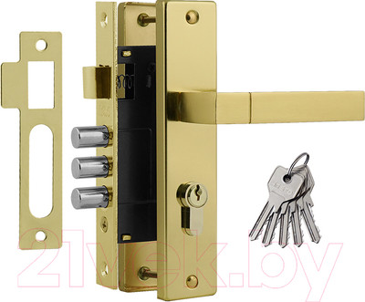 Ручка дверная Нора-М 709К-61.5мм (золото)