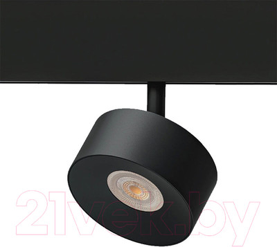 Трековый светильник Arte Lamp Linea A4781PL-1BK