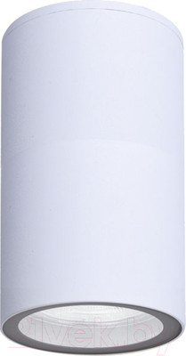 Светильник уличный Arte Lamp Mistero A3302PF-1WH