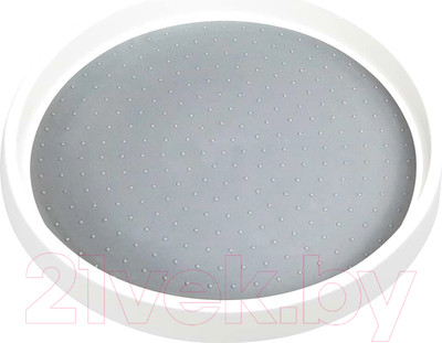 Поднос Regent Inox Desco 93-DE-TT-25