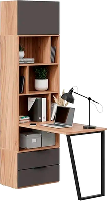 Стол-стеллаж ТриЯ Порто СМ-393.07.200 Исп.2 со столом (яблоня беллуно/графит софт)