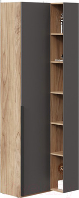 Шкаф ТриЯ Порто СМ-393.21.024 угловой с глухой дверью (яблоня беллуно/графит софт)