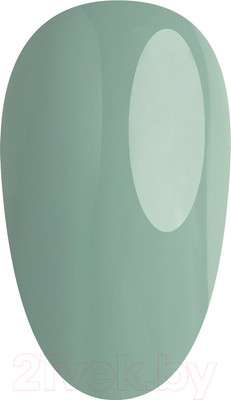 Гель-лак для ногтей E.Mi E.MiLac HC Ивовый куст №427 (9мл)