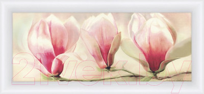 Картина Декарт Яблоневый цвет 8Л1590 (в раме)