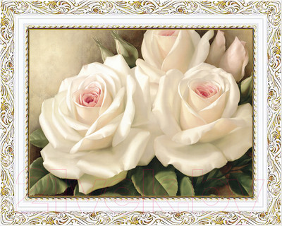 Картина Декарт Белые розы 8Л2372 (в раме)