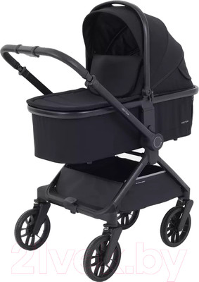 Детская универсальная коляска Rant Vector 2 в 1 / RA322 (черный)