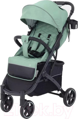 Детская прогулочная коляска Rant Life / RA104 (зеленый)