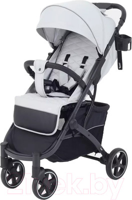 Детская прогулочная коляска Rant Life / RA104 (серый)