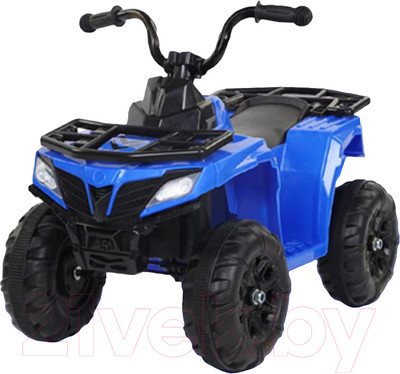 Детский квадроцикл Rant Basic REC-002-B (синий)