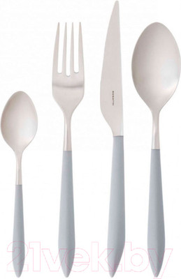 Набор столовых приборов Bugatti Ares ASBG-004F50 (24пр, матовая сталь/серый)