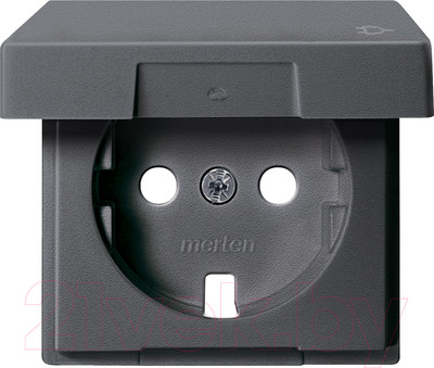 Лицевая панель Schneider Electric Merten MTN2341-0414