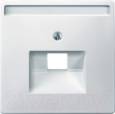 Лицевая панель Schneider Electric Merten MTN291819