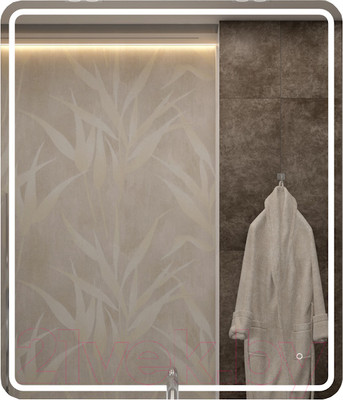 Зеркало Teymi Solli Pro 60x70 / T20253 (подсветка, сенсор)