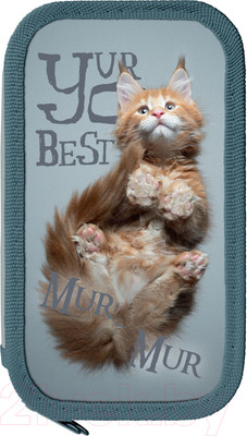 Пенал Schoolformat Лапы кота / ПК2-ЛК (серый)