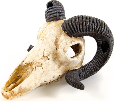 Декорация для аквариума Exoprima Череп барана / 41174/EP