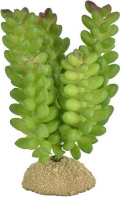 Декорация для террариума Exoprima Растение Мини-суккуленты / 40058/EP (светло-зеленый)