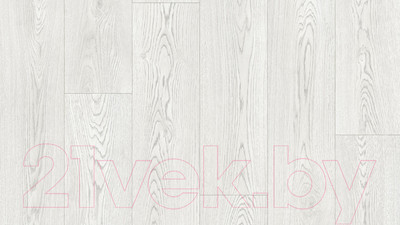 Линолеум Tarkett Club Evora 1 (2x5м)