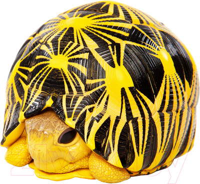Фигурка коллекционная Exoprima Лучевая черепаха / 26467/AH (черный/желтый)