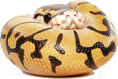 Фигурка коллекционная Exoprima Питон / 26436/AH (желтый/коричневый)