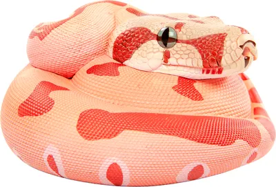 Статуэтка Exoprima Питон / 56331/AH (розовый/красный)