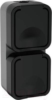 Розетка IEK Tors TS-R26-16-55-V-K53 (графит)