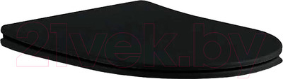 Сиденье для унитаза Aquatek AQ0004-MB (черный матовый)
