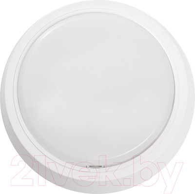 Светильник ЖКХ Feron AL3020 / 41766