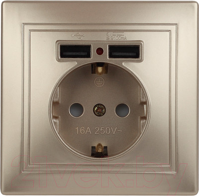 Розетка INTRO Plano 1-410-04 / Б0053945 (шампань)